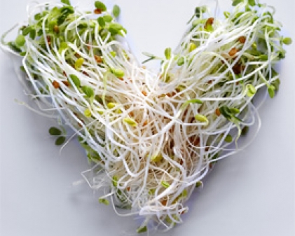 Je me regale avec les graines germees.jpg