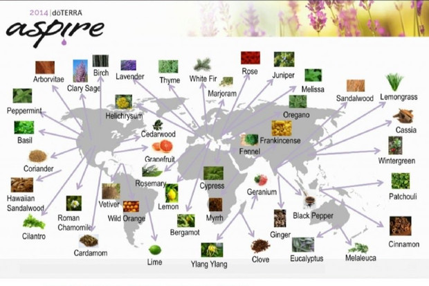 map-doterra-producteurs-huiles-essentielles.jpg